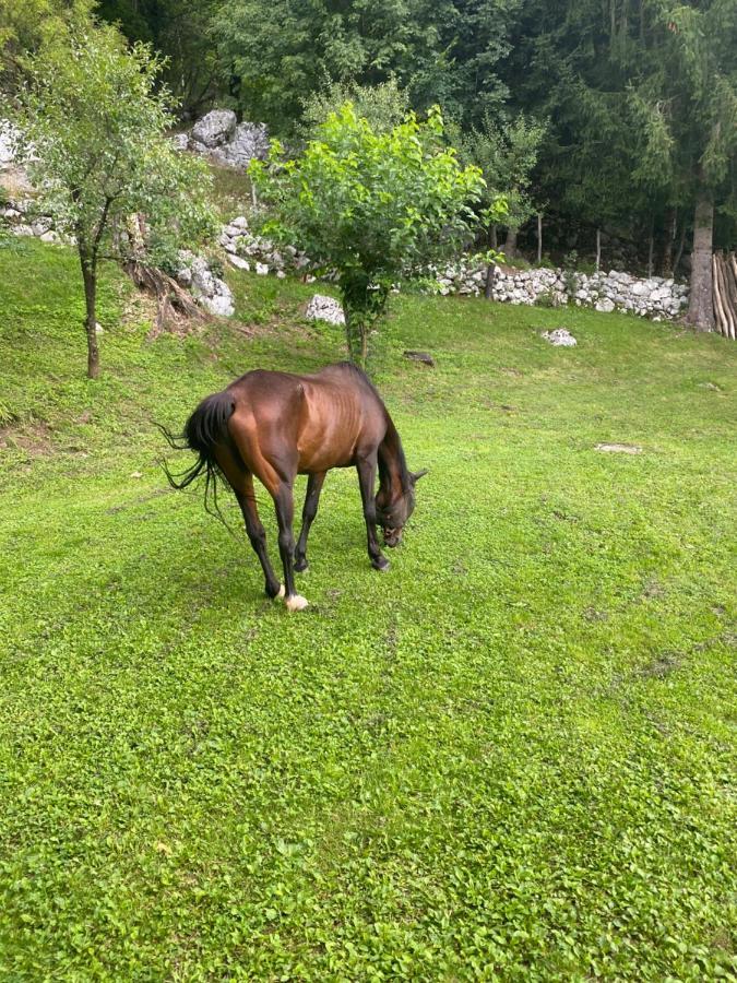 Posestvo Tmzek Villa โบเว็ก ภายนอก รูปภาพ